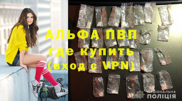 a pvp Абаза