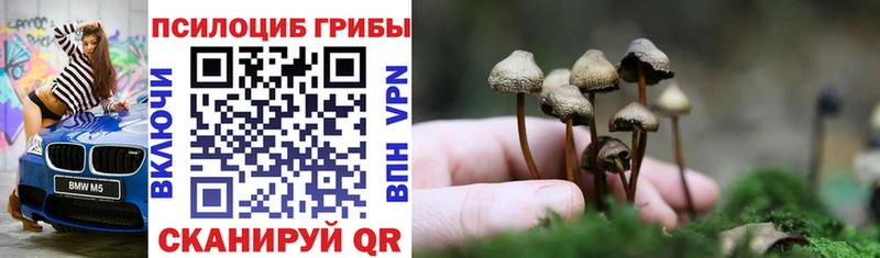 Галлюциногенные грибы ЛСД  Кирсанов 