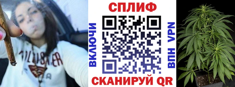 где можно купить наркотик  Кирсанов  Марихуана сатива 